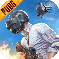 PUBG地铁逃生影像助手(V2.0)下载_PUBG地铁逃生影像助手APP下载