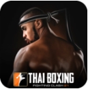 泰拳游戏(Muay Thai - Fighting Clash 21)
