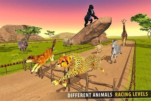 热带草原动物赛跑3D
