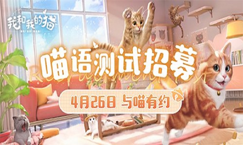 猫咪养成手游《我和我的猫》4月26日开启测试