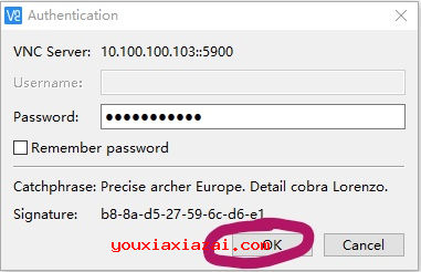 输入之前在服务器端设置好的访问密码